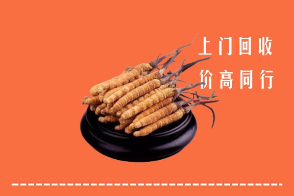汕尾市回收散虫草