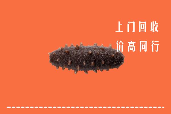 汕尾市回收海参
