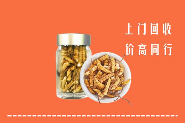 汕尾市回收冬虫夏草