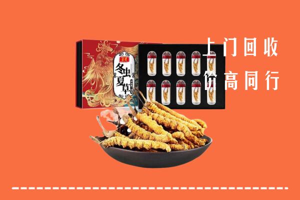 汕尾市回收虫草